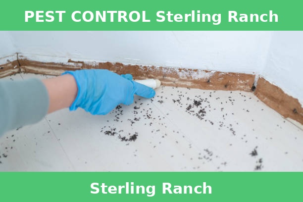 PEST CONTROL Sterling Ranch